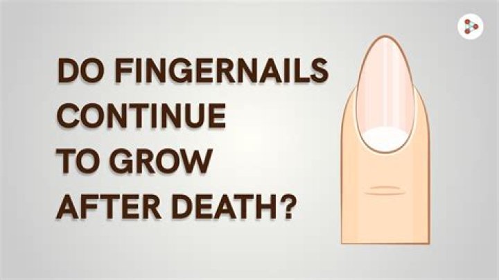 Why do fingernails grow after death?