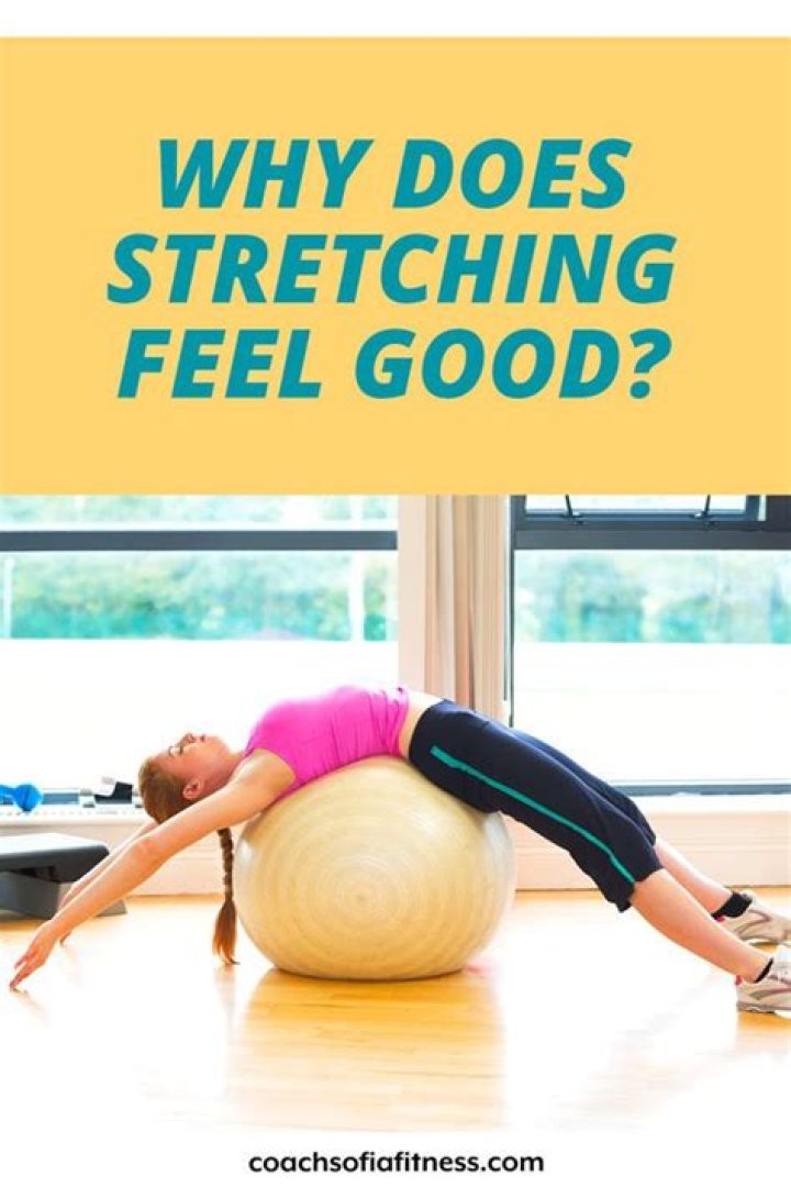 Why do I feel so good after stretching?