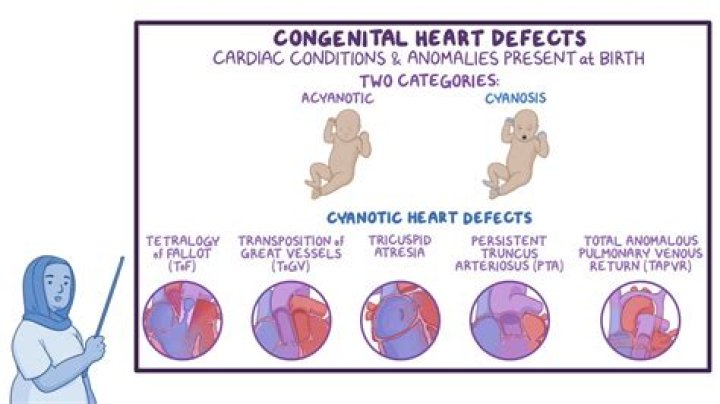 Why do IVF babies have a higher risk of heart defects?