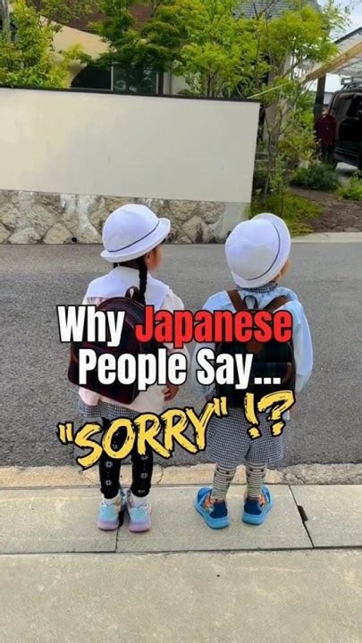Why do Japanese always say sorry?