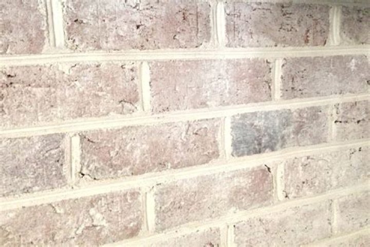 Why do my house bricks look wet?