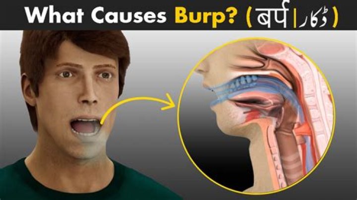 Why do we fart and burp?