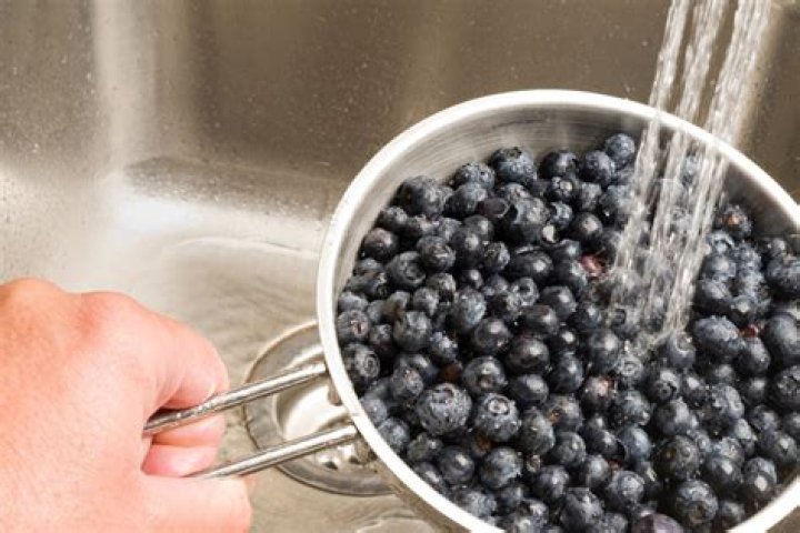 Why do you have to wash blueberries?