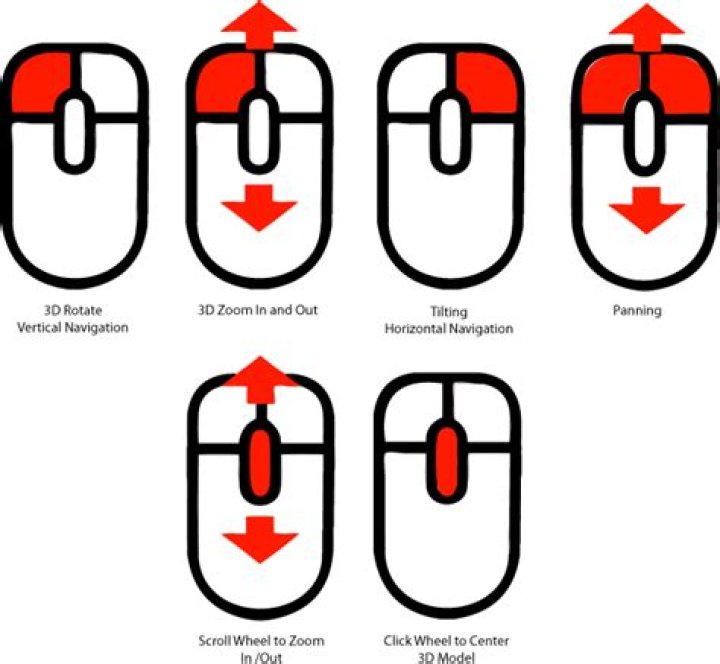 Why does a mouse spin?