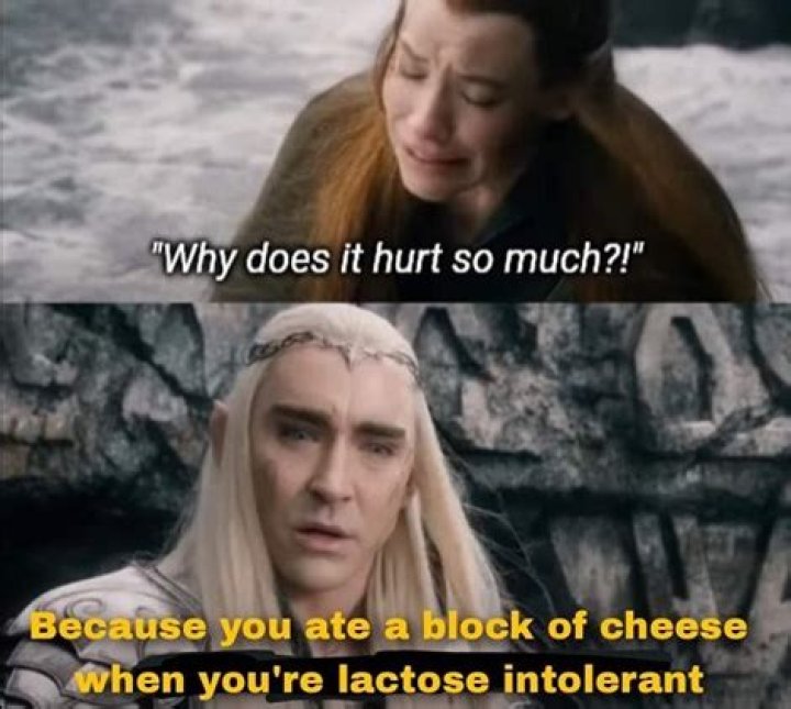 Why does it hurt so much to lose a pet?
