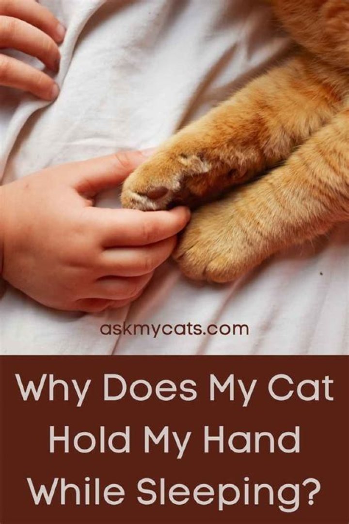 Why does my cat hold my hand while sleeping?