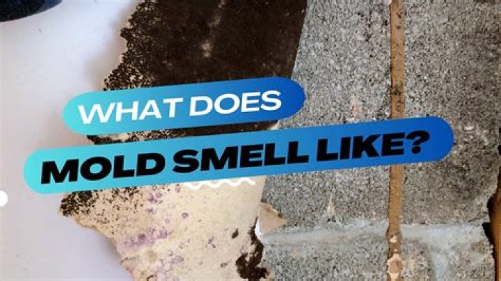 Why does my moss smell?