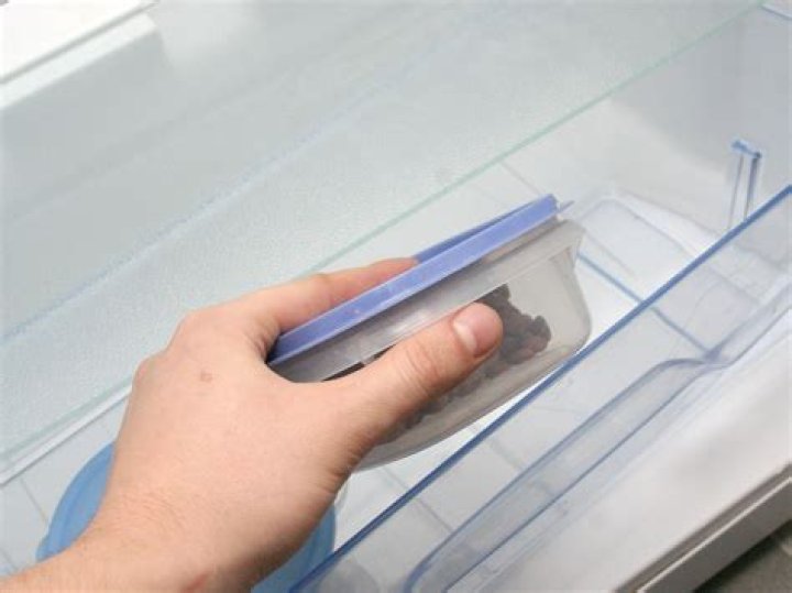 Why does my refrigerator smell like dead fish?