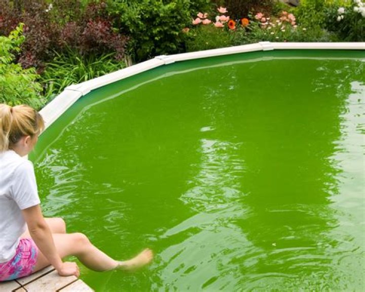 Why does pool turn green after adding chlorine?
