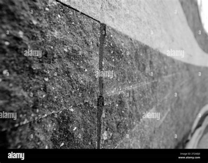Why is my brick wall turning white?