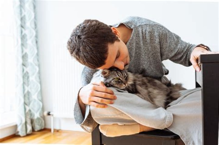 Why is my cat being so clingy and vocal?
