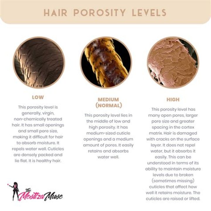 Why is my hair thin when wet and thick when dry?
