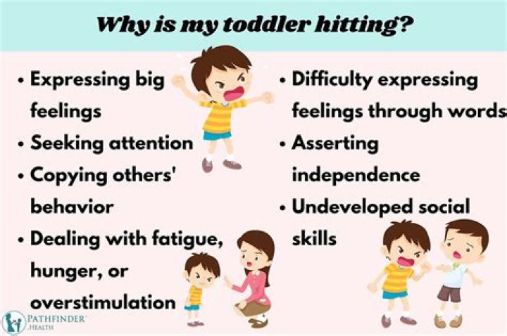 Why is my toddler always attached to me?