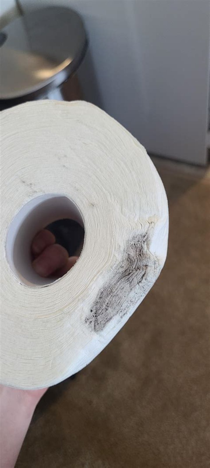 Why is my toilet paper moldy?