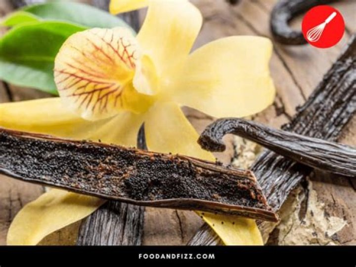 Why is vanilla so popular?