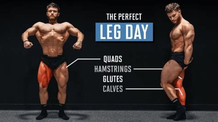 Why leg days are so hard?