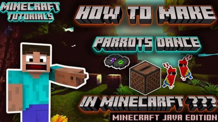 Why won't my parrots dance in Minecraft?