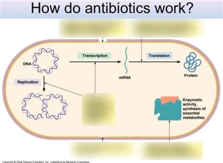 Why would an antibiotic not work?