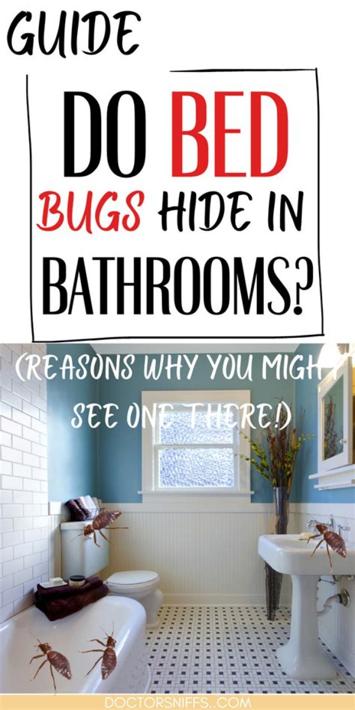 Why would bed bugs be in the bathroom?