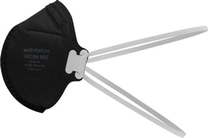 Will an N95 mask protect against black mold?