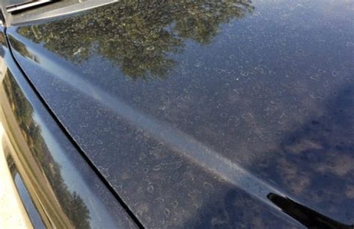 Will clay bar remove water spots?