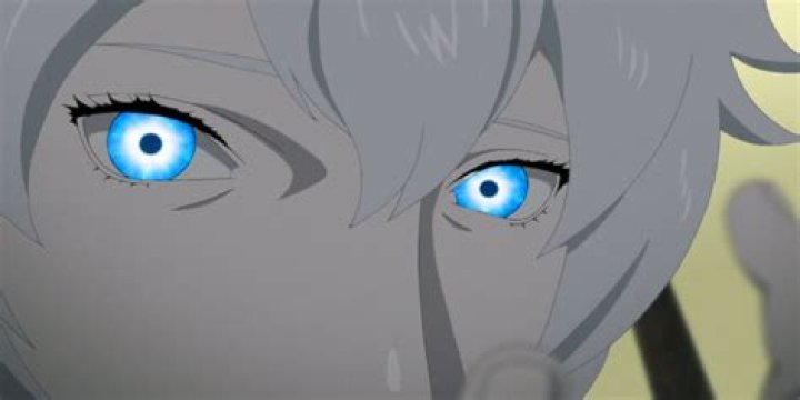 Will Himawari get the Tenseigan?