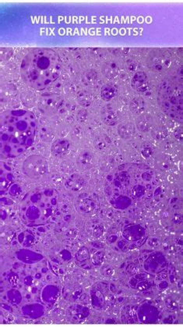 Will purple shampoo fix orange roots?