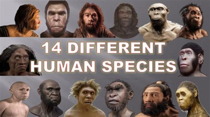 Will there be a new human species?