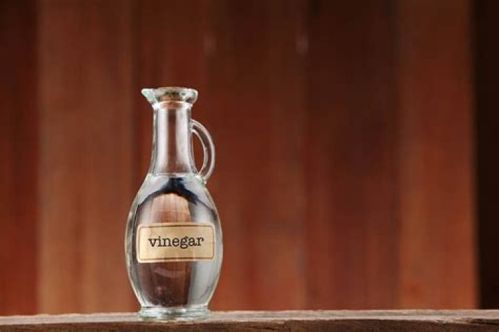 Will vinegar keep cats away?